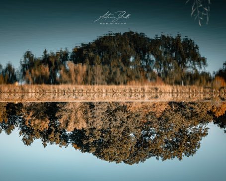 Spiegelung eines Baumes und des Himmels auf ruhigem Wasser.