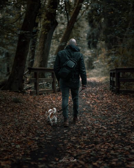 Mann mit Hund geht auf einem Waldweg zwischen Bäumen und fallen Laub.