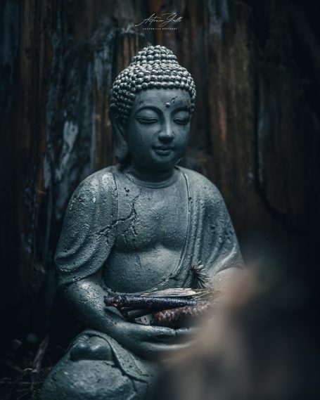 Eine Buddha-Statue sitzt im Schatten, mit gefalteten Händen und ruhigem Ausdruck.