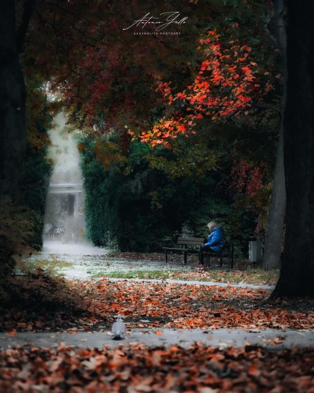 Einsamer Mensch auf einer Bank in einem herbstlichen Park mit buntem Laub.