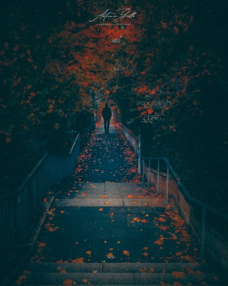 Ein geheimnisvoller Weg durch Bäume mit herbstlichen, bunten Blättern.